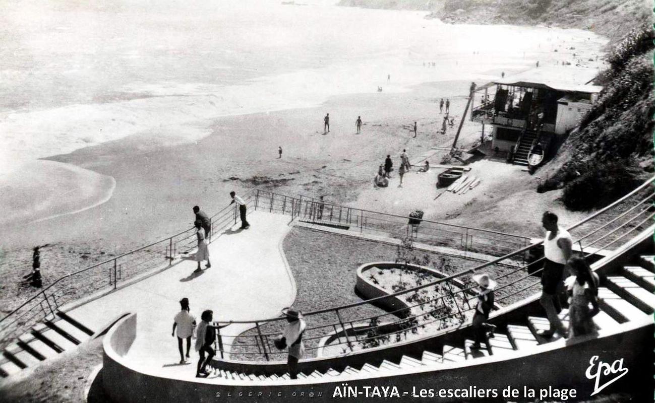 524- Ain-Taya - Les escaliers de la plage.jpg